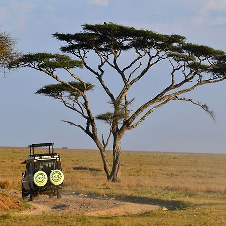 Serengeti Wild Camps Bagian luar foto
