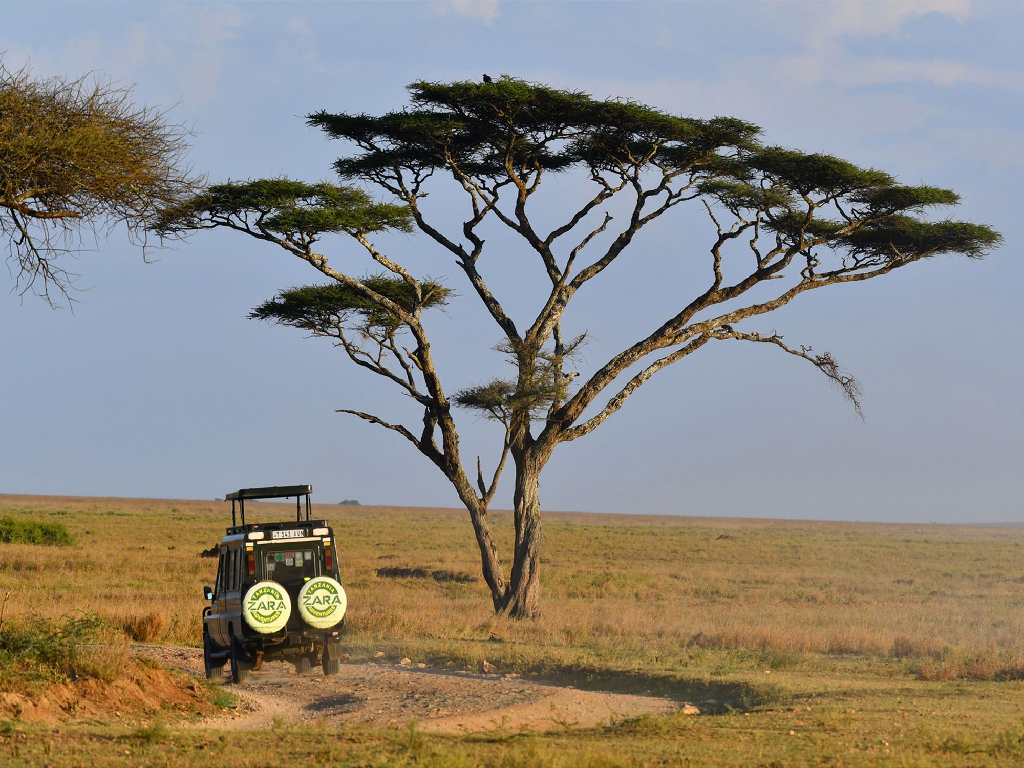 Serengeti Wild Camps Bagian luar foto
